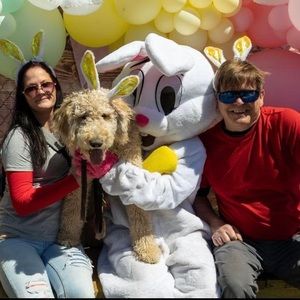 Meet your Posher, Lindsey